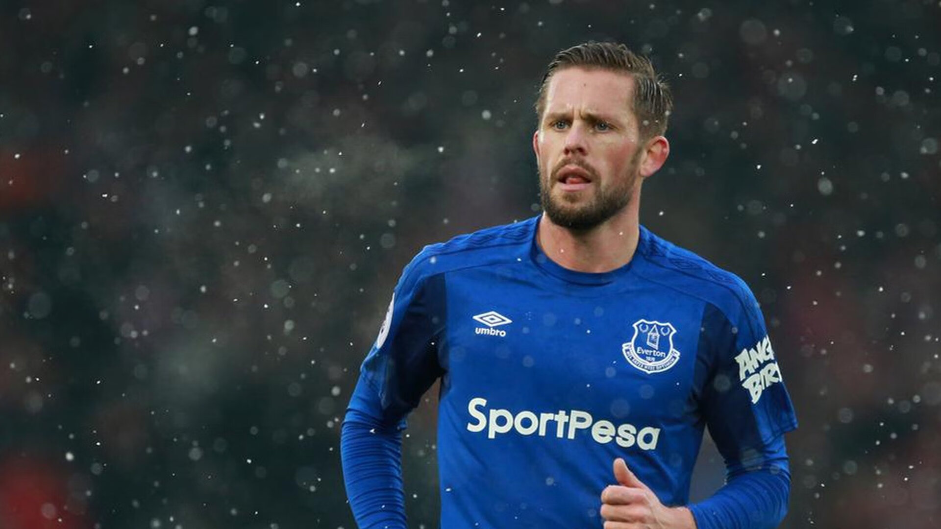 彼得堡联主场击败伯里，实现主场不败战绩，暂时跻身英冠前六，彼得堡对西布朗