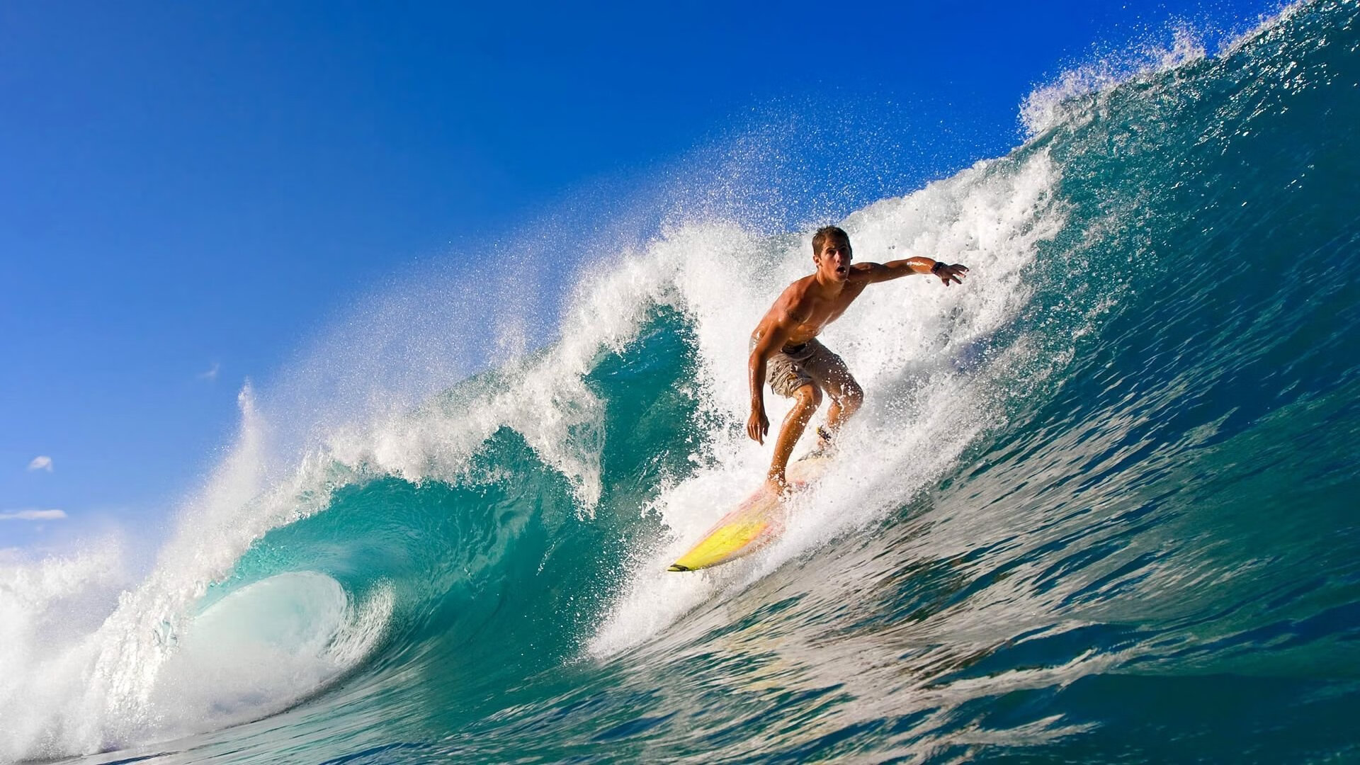 逆境中的坚守：欧冠防守大佬的绝佳表现，欧冠最强守门员